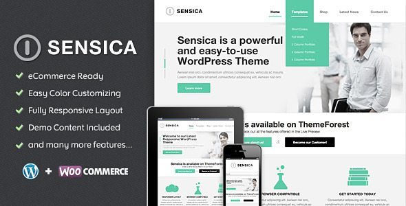 Sensica – Responsive WordPress Business Theme