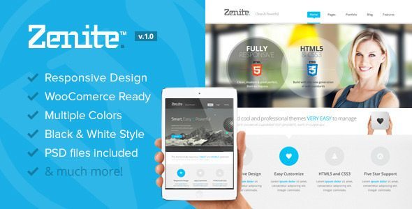 Zenite – Responsive WordPress Business Theme