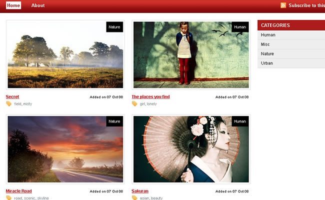 Snapshot Photography Portfolio WordPress Theme