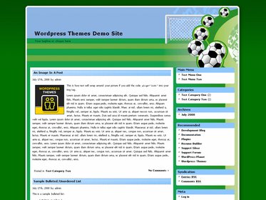 Football WordPress Theme 8