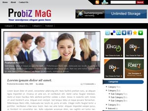 Free WordPress Theme – ProBizMag