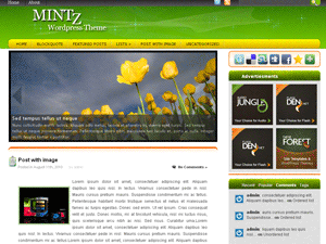 Free WordPress Theme – Mintz