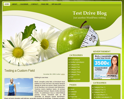 Free WordPress Theme – Green Diet Theme