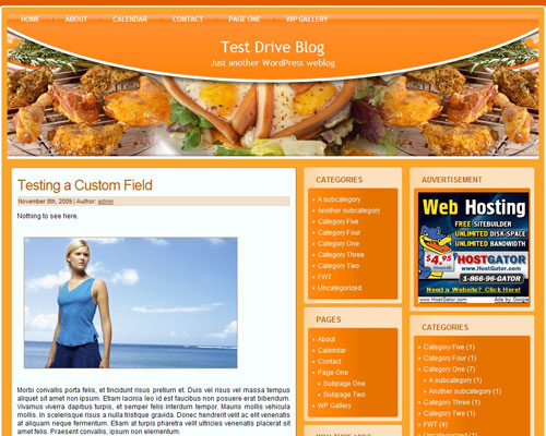 Free WordPress Theme – Grilling and Barbecue