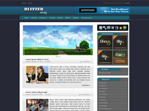 Free WordPress Theme – Blitzer