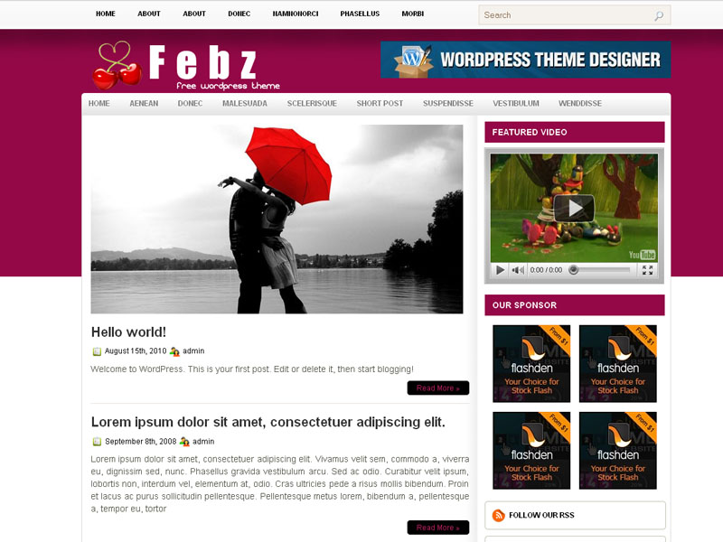 febz wordpress theme