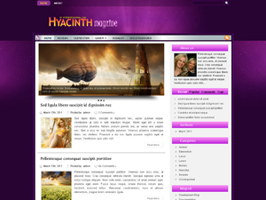 Free WordPress Theme – Hyacinth