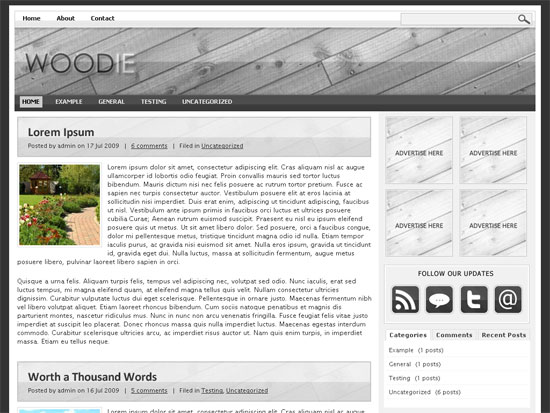Greyscale Woodie WordPress Theme