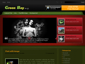 Free WordPress Theme – GreenBay-Magazine