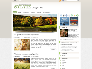Free WordPress Theme – Sylvie
