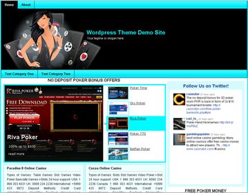 Online Casino Template 899