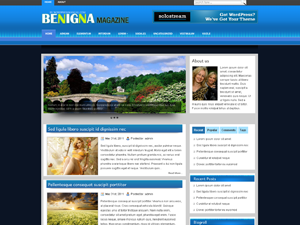 Free WordPress Theme – Benigna