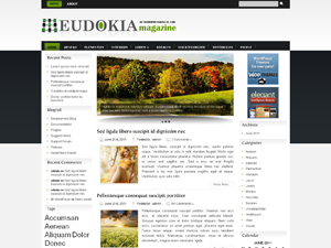 Free WordPress Theme – EUDOKIA