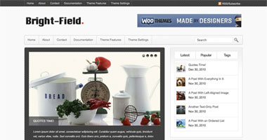 Bright-Field WordPress theme