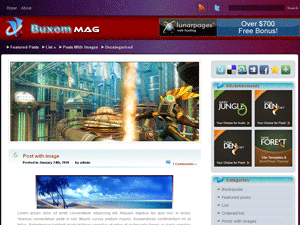 Free WordPress Theme – Buxom Magazine