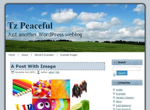 ThemesZoo Peaceful – A Free WordPress Theme