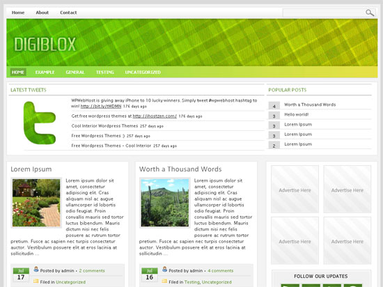 Digiblox Green WordPress Theme