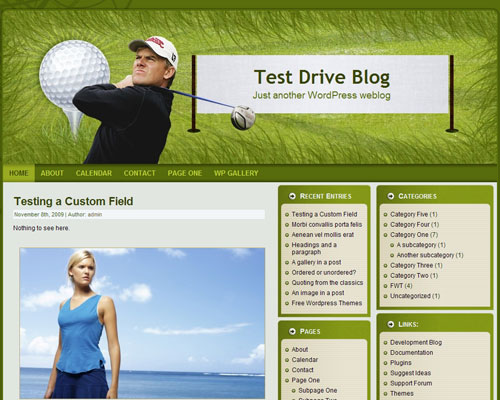 WordPress Golfer