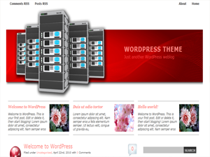 Webhosting WordPress Theme 1