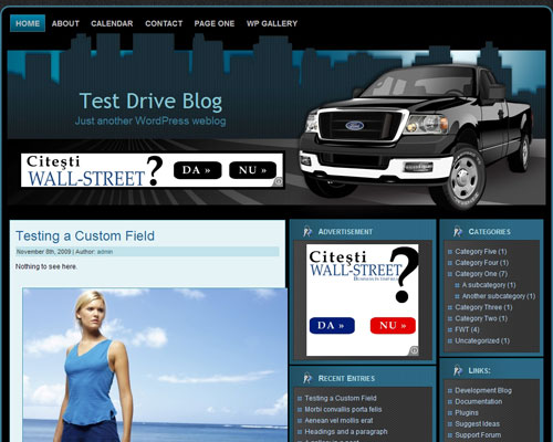 Ford WP Theme