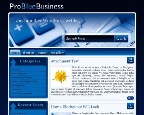 Pro Blue Business