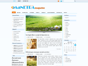 Free WordPress Theme – Aanetra