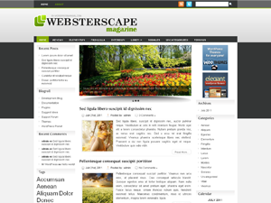 Free WordPress Theme – Websterscape