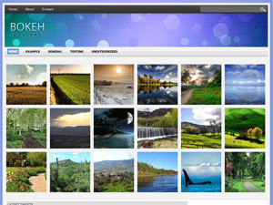 Bokeh Photo Gallery WordPress Theme
