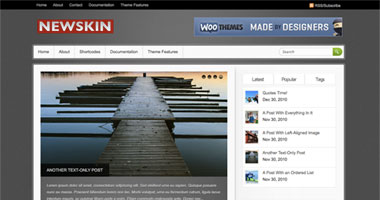 Newskin WordPress Theme