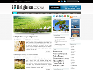 Free WordPress Theme – Brighten
