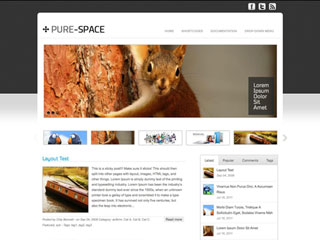 Pure-Space WordPress Theme