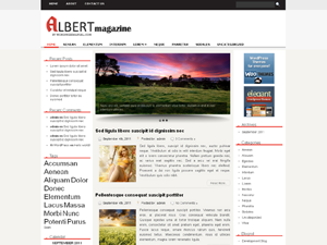 Free WordPress Theme – Albert
