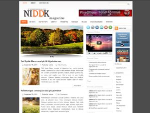 Free WordPress Theme – NIDDK