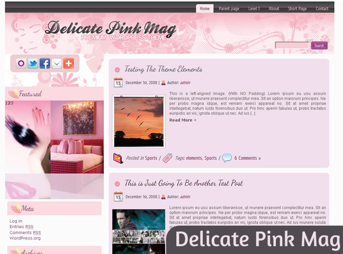 Delicate Pink Mag
