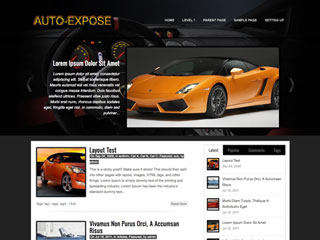 Auto-Expose WordPress Theme