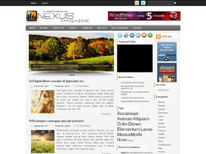 Free WordPress Theme – Nexus