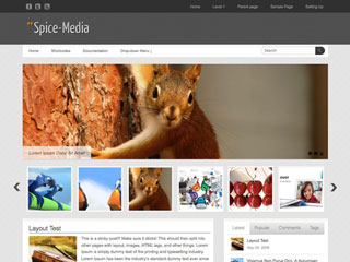 Spice-Media WordPress Theme