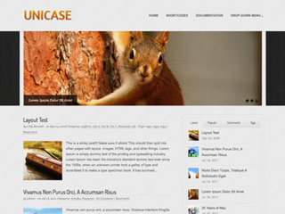 Unicase WordPress Theme