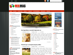 Free WordPress Theme – Mixmag