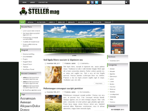 Free WordPress Theme – Steller