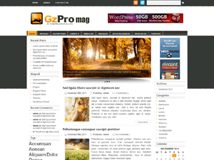 Free WordPress Theme – Gzpro