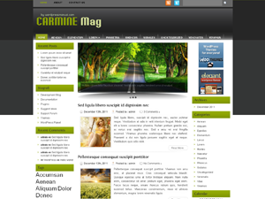 Free WordPress Theme – Carmine