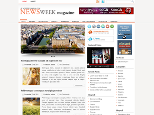 Free WordPress Theme – Newsweek