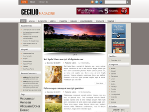 Free WordPress Theme – Cecilio