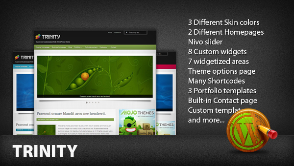 Trinity WordPress Theme