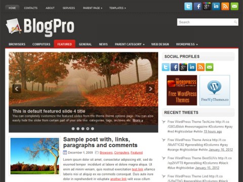 BlogPro