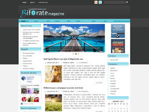 Free WordPress Theme – Biforate