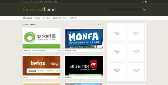 Showcase WordPress Theme