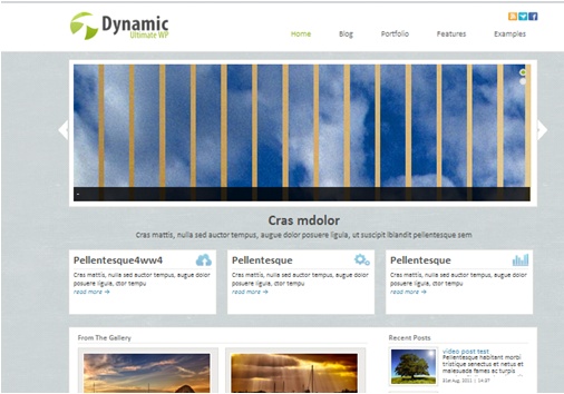 Dynamic Ultimate WordPress Theme
