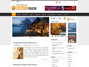 Free WordPress Theme – Erepsin